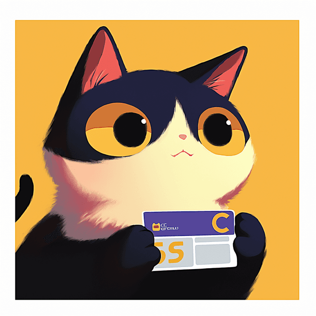 Credit Cat Mascot